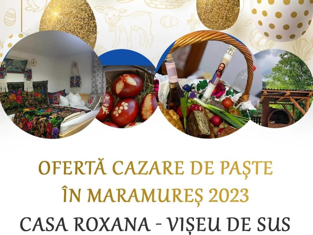 Villa Casa Roxana Viseu de Mijloc Exterior foto